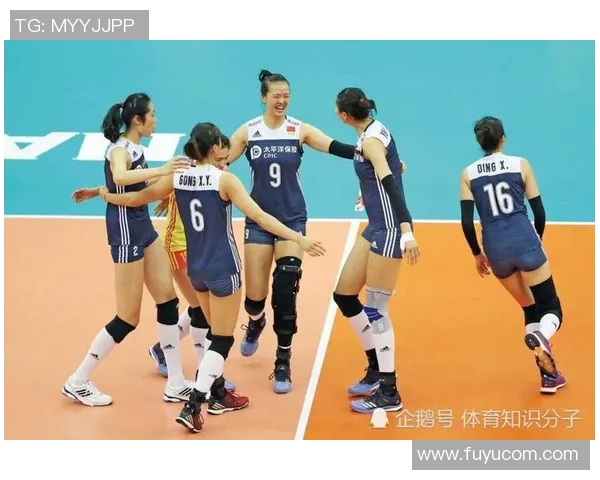 武汉排球队的辉煌崛起与冠军赛背后的奋斗故事